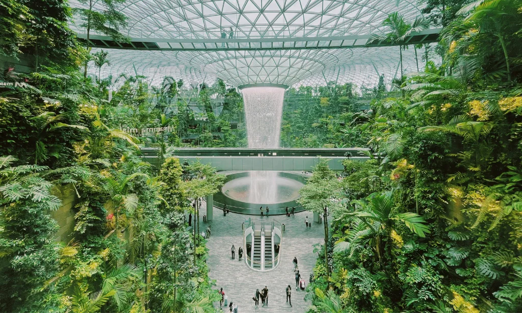 Green space to promote mental health
